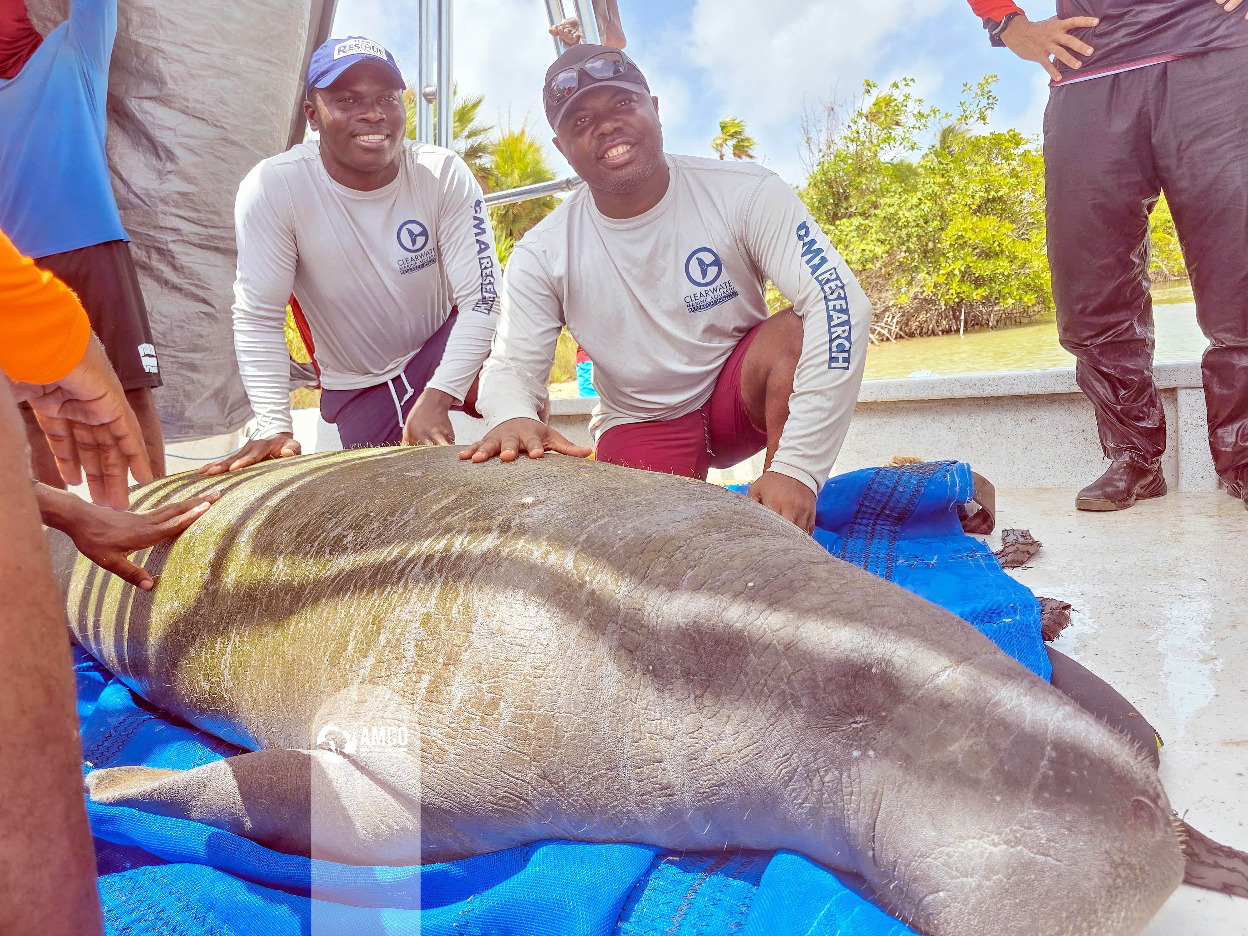 Work Begins on Africa’s First Manatee Rehabilitation Centre