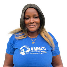 Sondi Toko Petronille