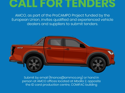 Cover for CALL FOR TENDERs