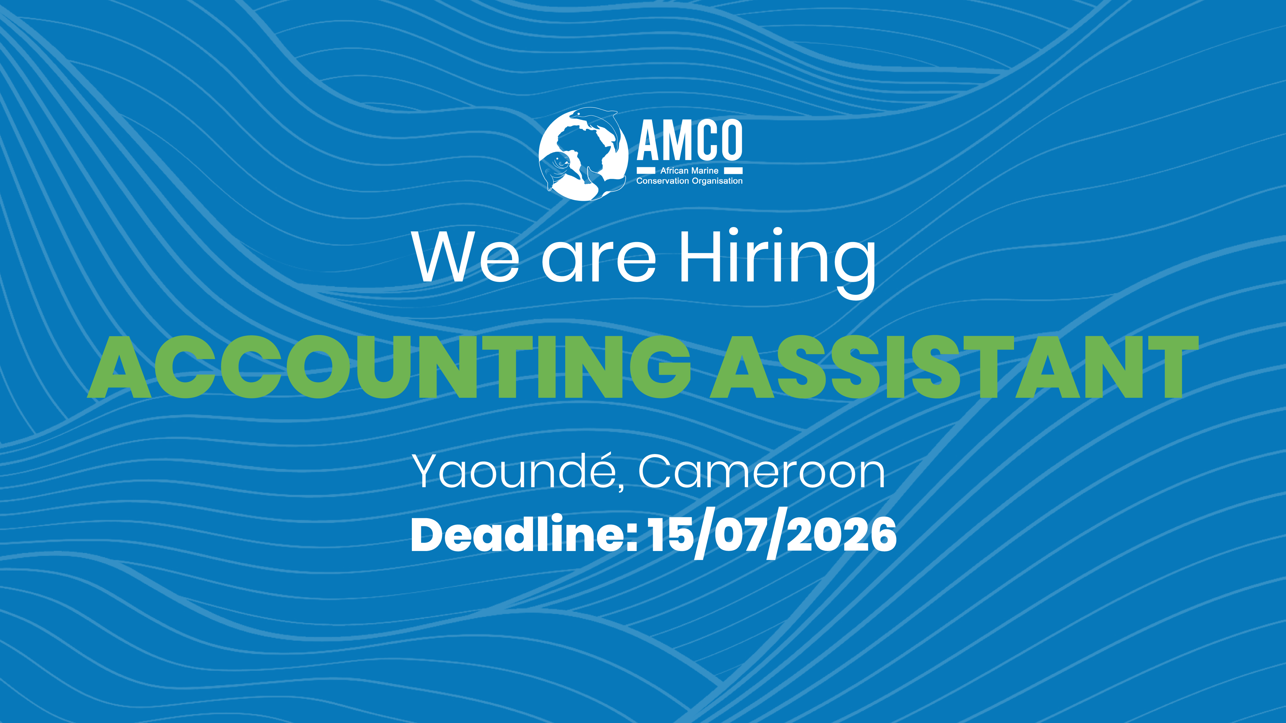 We are Hiring: Accounting Assistant