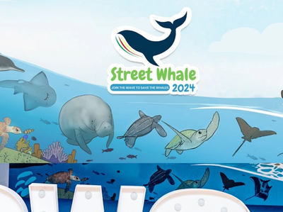 Cover for Street Whale 2024 Report