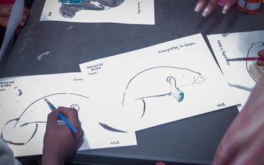 Press Release: Street Manatee Returns in 2026 to Celebrate Culture, Art, Sports and Conservation
