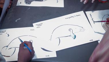 Press Release: Street Manatee Returns in 2026 to Celebrate Culture, Art, Sports and Conservation