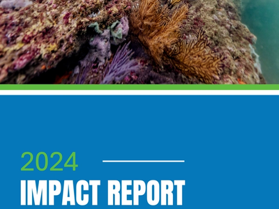 Cover for AMCO Impact report 2024