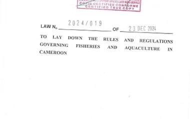 Cameroon Takes a Major Leap Forward in Fisheries Governance with New Legislation