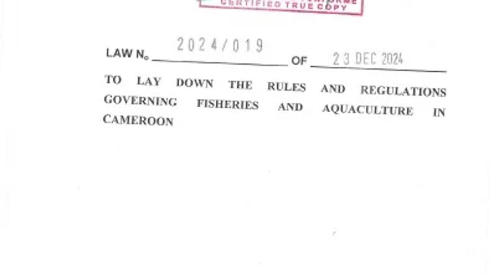 Cameroon Takes a Major Leap Forward in Fisheries Governance with New Legislation
