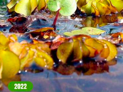 Cover for Rapport Annuel AMCO 2022
