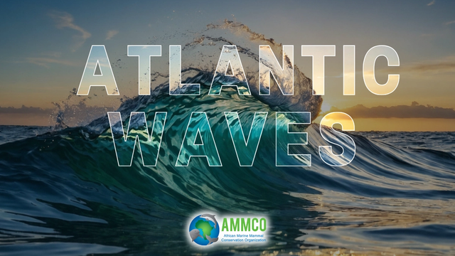 Atlantic Waves (By AMCO)