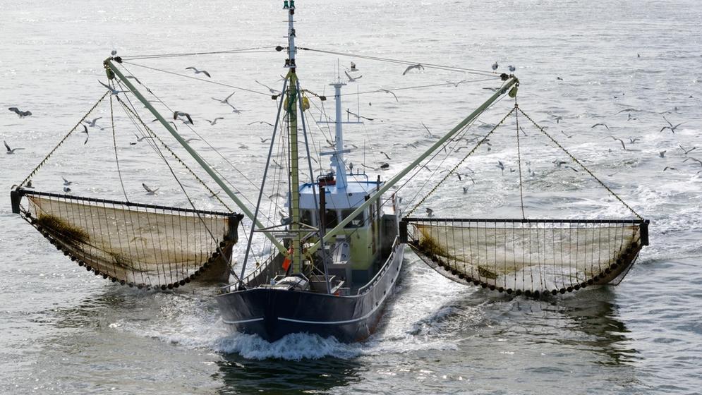 Illegal, Unreported and Unregulated (IUU) fishing Program