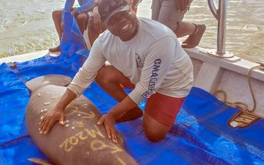 Saving Africa’s Elusive Manatee in Its “Capital City”