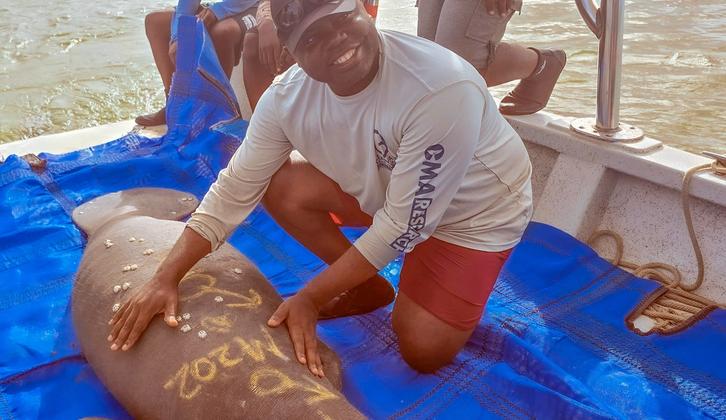 Saving Africa’s Elusive Manatee in Its “Capital City”