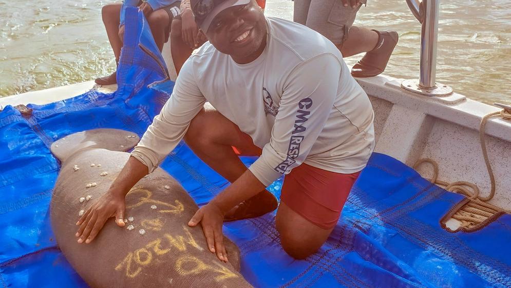 Saving Africa’s Elusive Manatee in Its “Capital City”