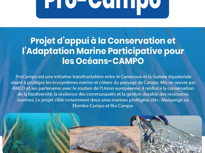 Cover for Brochure Pro-Campo