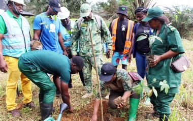 Reversing the Trend of Deforestation around Cameroon’s Largest Freshwater Lake