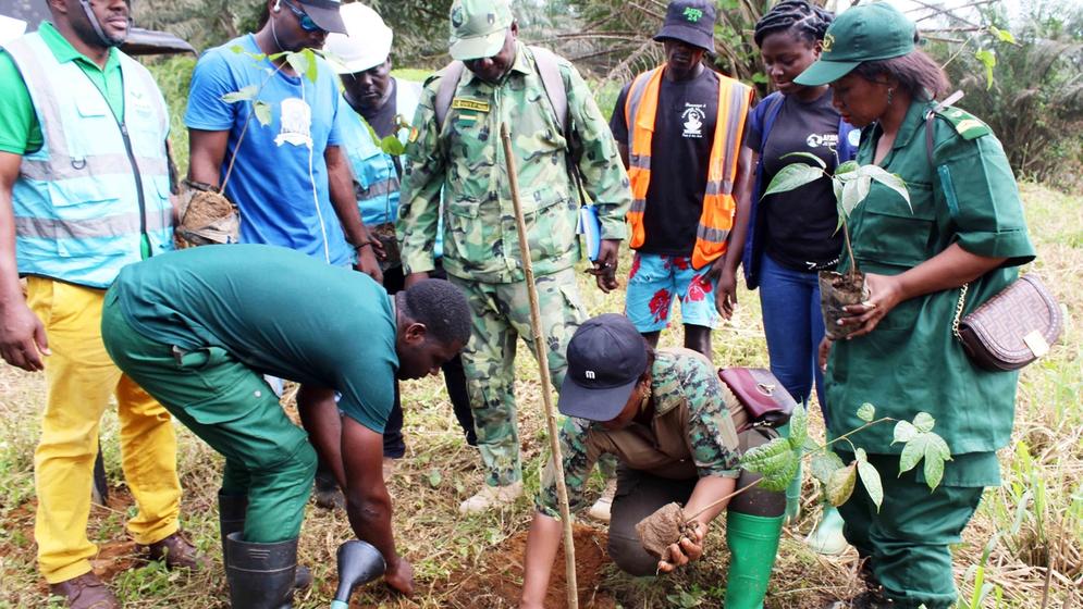 Reversing the Trend of Deforestation around Cameroon’s Largest Freshwater Lake