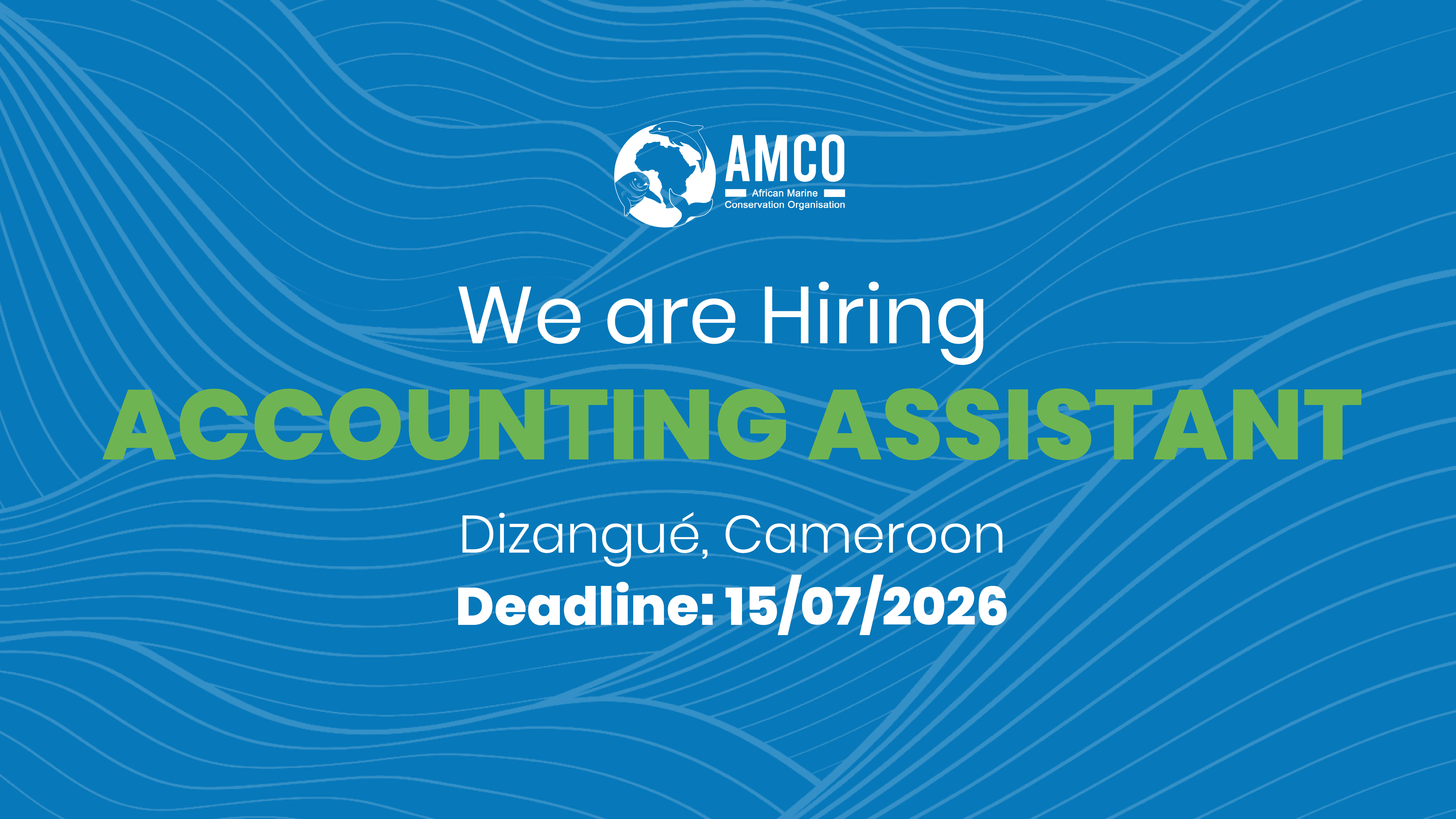 We are Hiring: Accounting Assistant