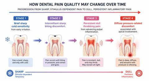 Timeline showing progression from sharp stimulus-triggered tooth pain to dull persistent inflammatory discomfort as tooth disease advances.