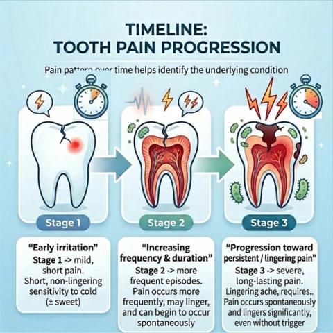 Timeline showing intermittent tooth pain progressing from brief trigger-related sensitivity to increasingly frequent and lingering episodes as inflammation advances.