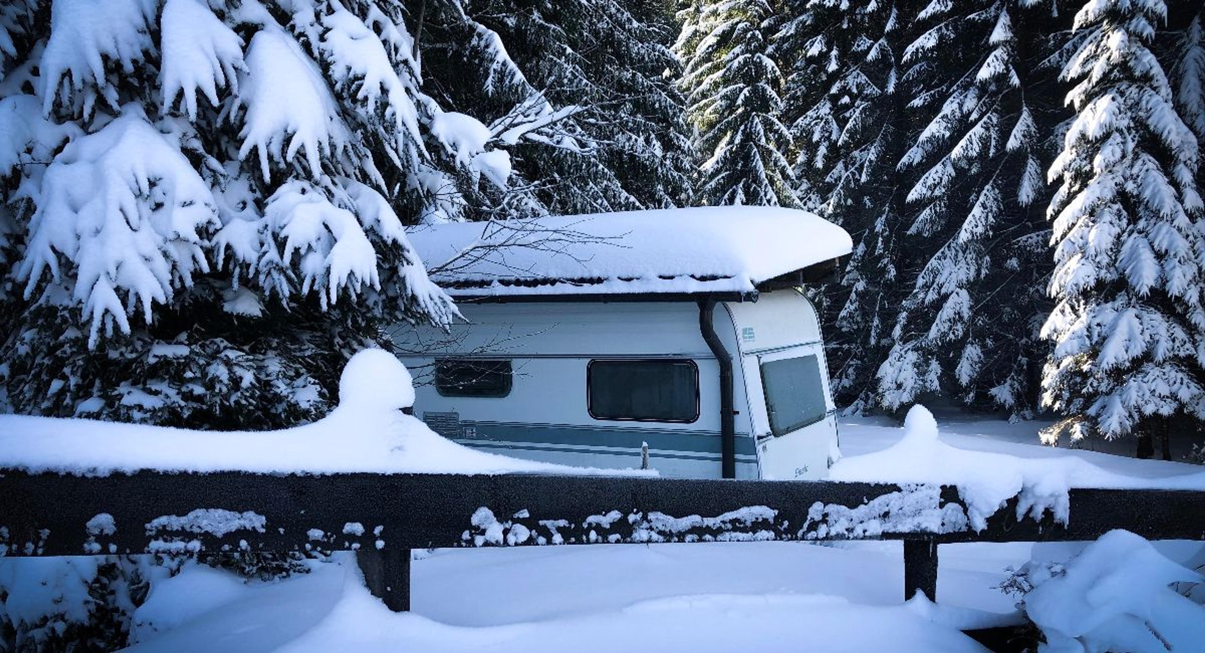 Trailer in winter surrounded by evergreen trees covered in snow