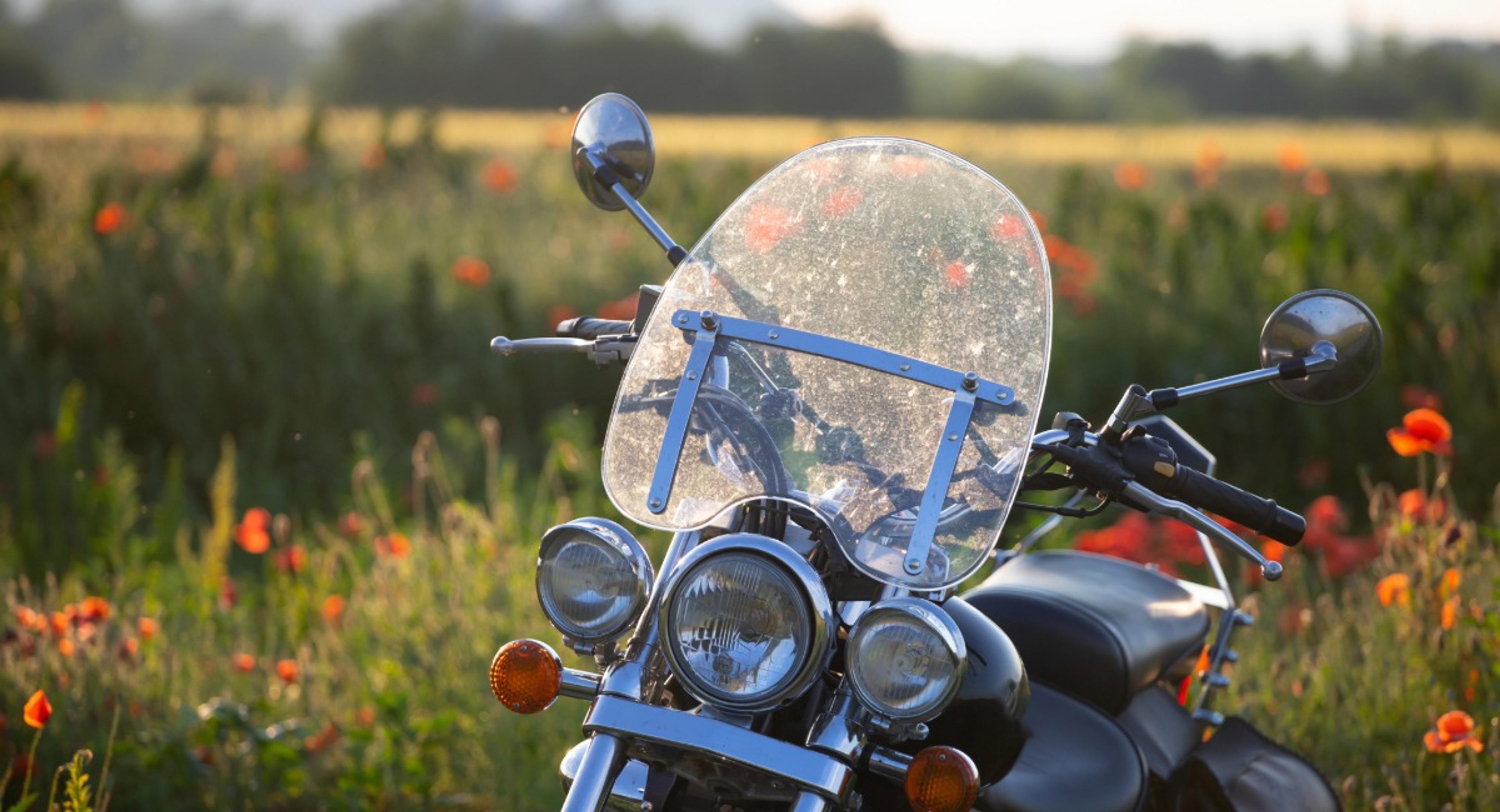 Motorcycle with windshield parked in flower field representing motorcycle insurance claims guide for new riders