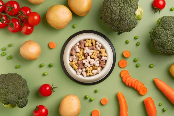 Vegan Pet Food Side Effects