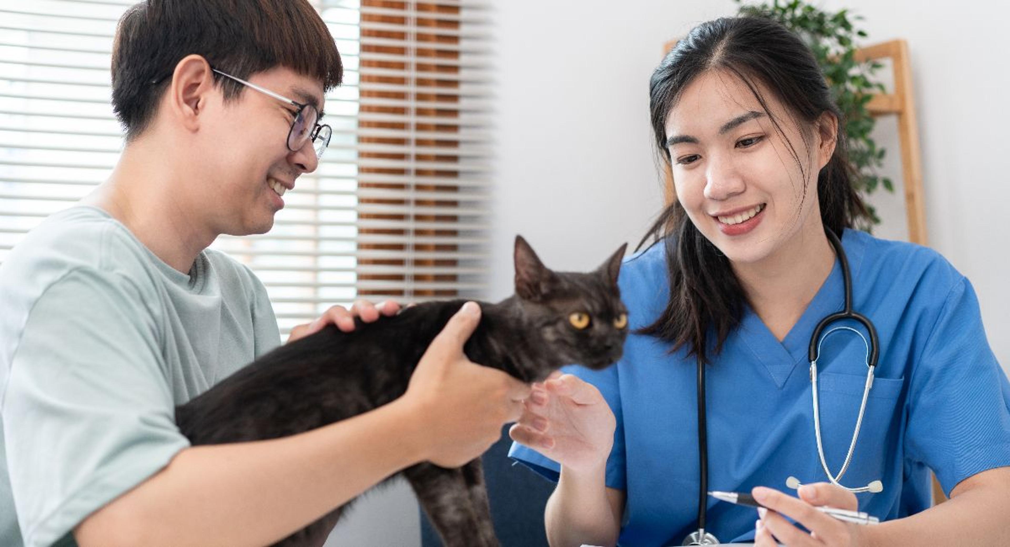 Pet Insurance Waiting Periods Explained to Cat Owner