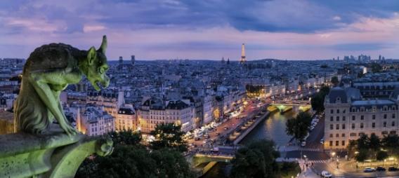 Gargoyle statue with view of Paris at dusk