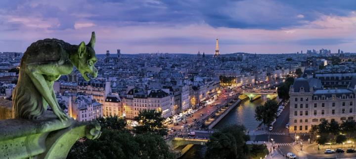 Gargoyle statue with view of Paris at dusk
