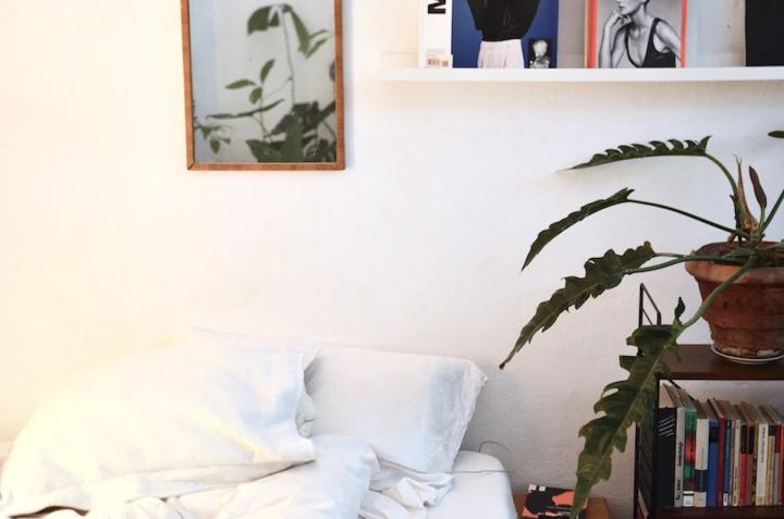plant next to bed