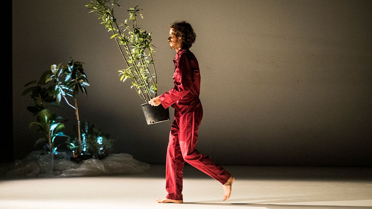 Pezzo a due con dieci piante thumbnail