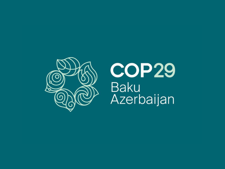 COP29 Gender Day: A Call to Action for Climate Funders