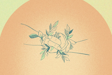 If Not Now, When? A Feasibility Study for a Caribbean Fund for Women’s and LGBTQI+ Rights