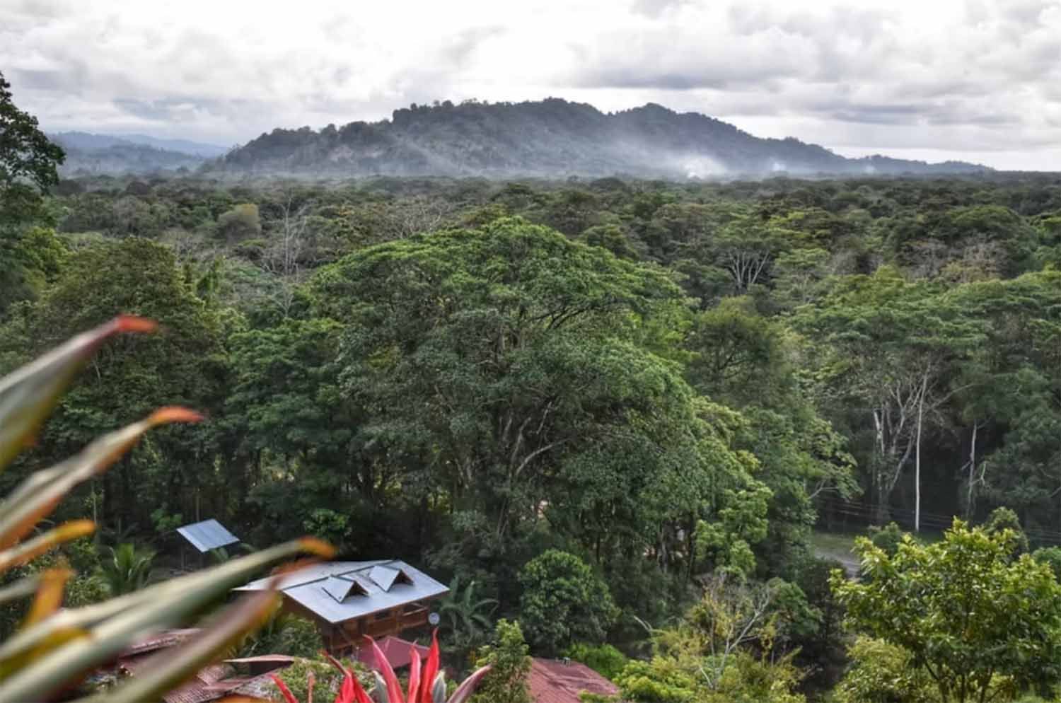 View from El Mirador over the Caribbean