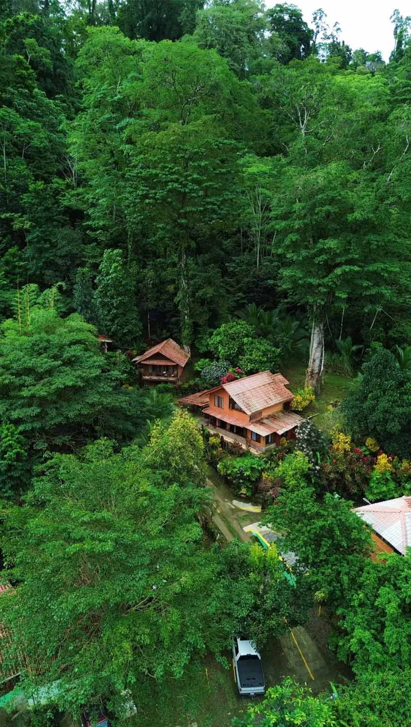 Jungle and garden views at Blessed House