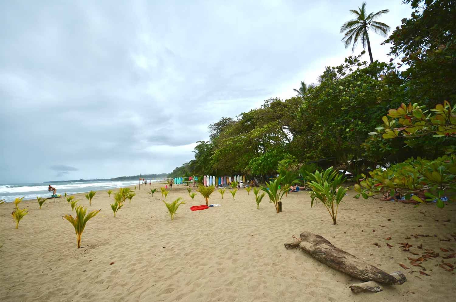 Playa Cocles on the Caribbean coast