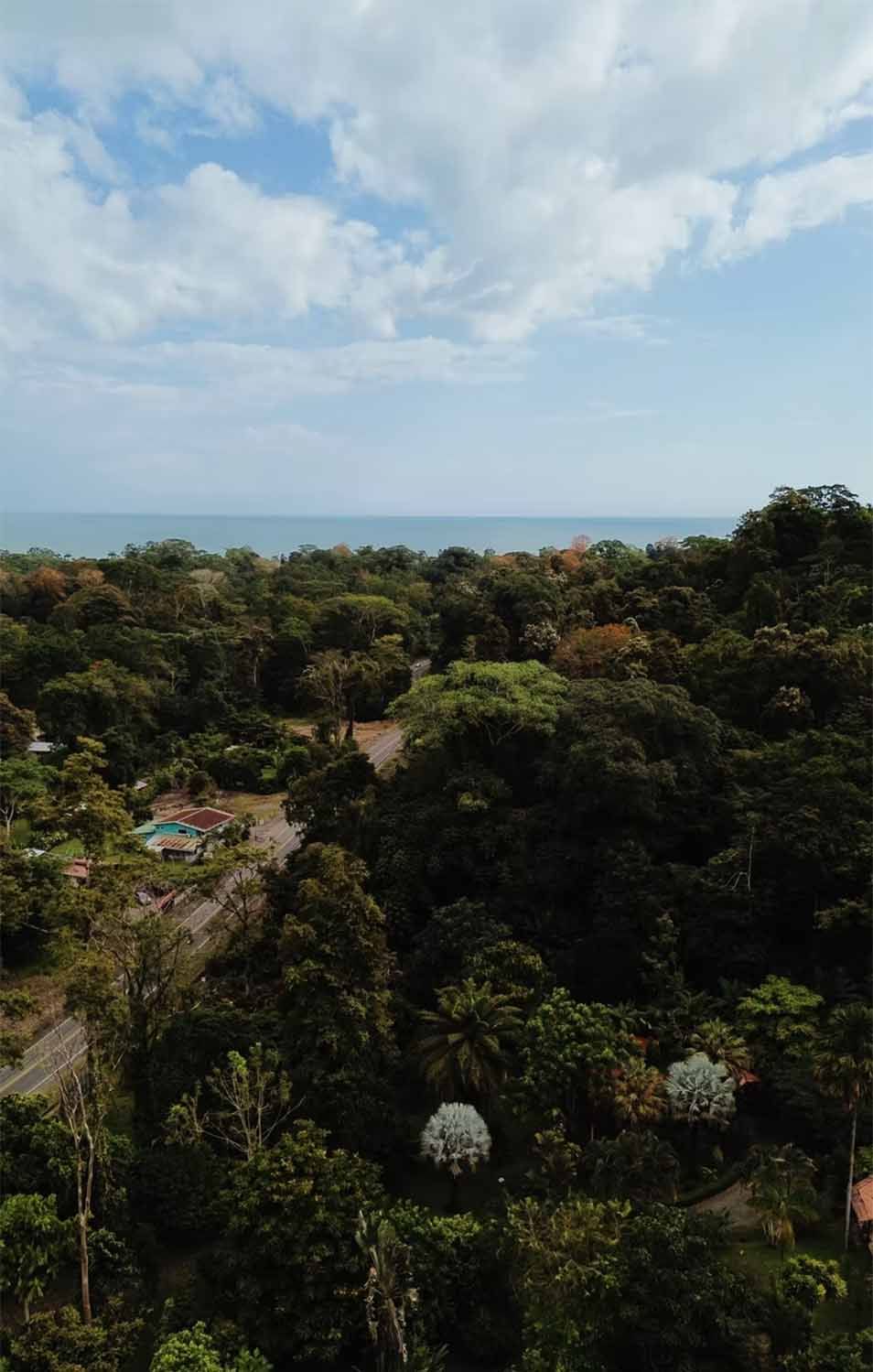 Caribbean beach near Puerto Viejo