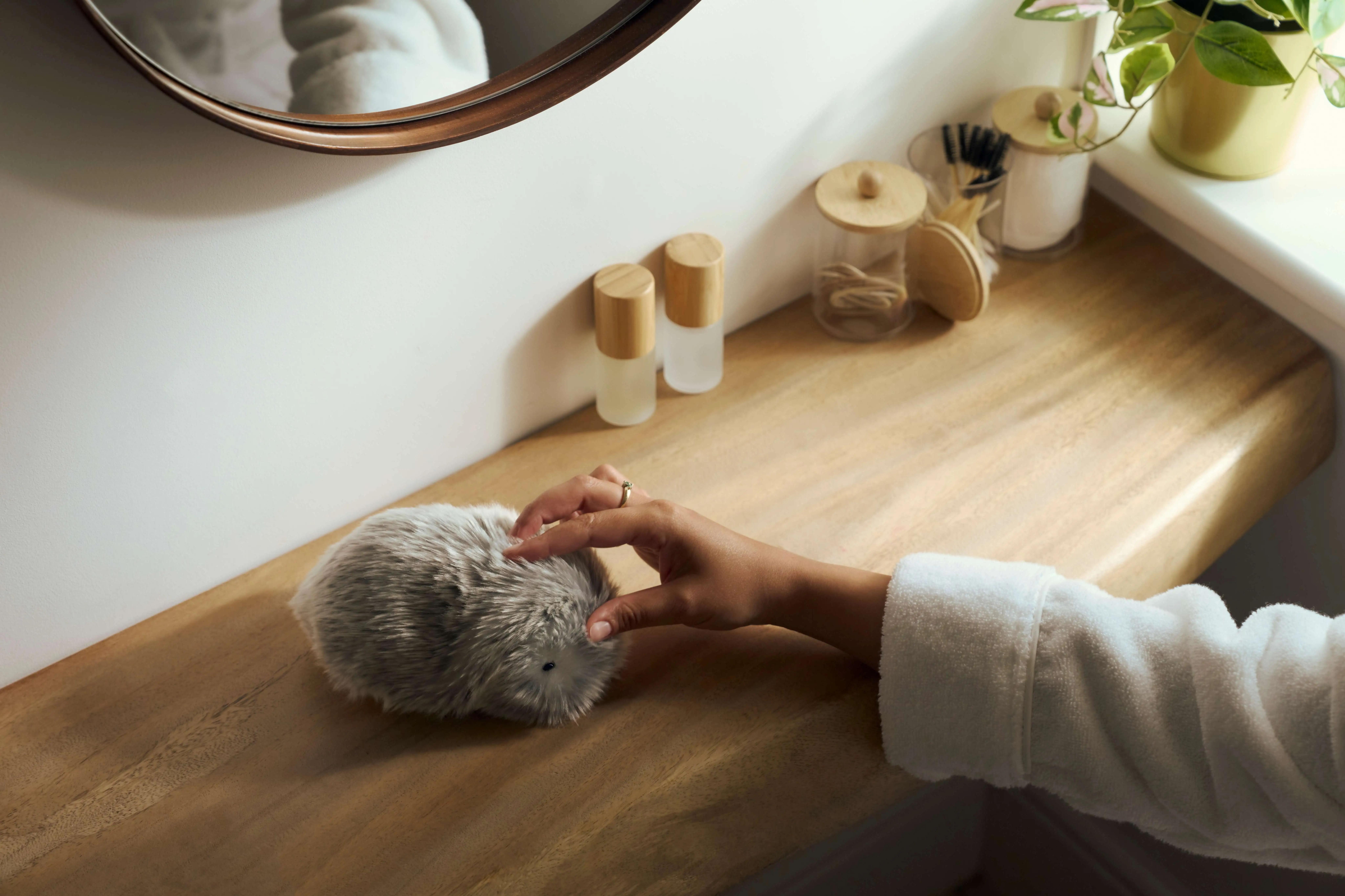 Moflin, Bedtime Routine Lifestyle Photography