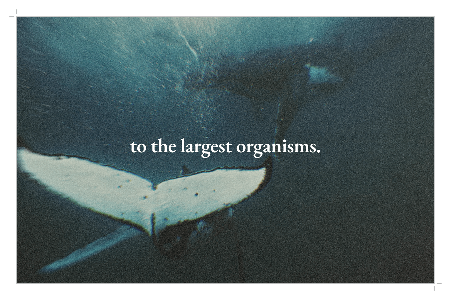 AI_Mission_Led_Video_Production AI_Mission_Led_Video_Production