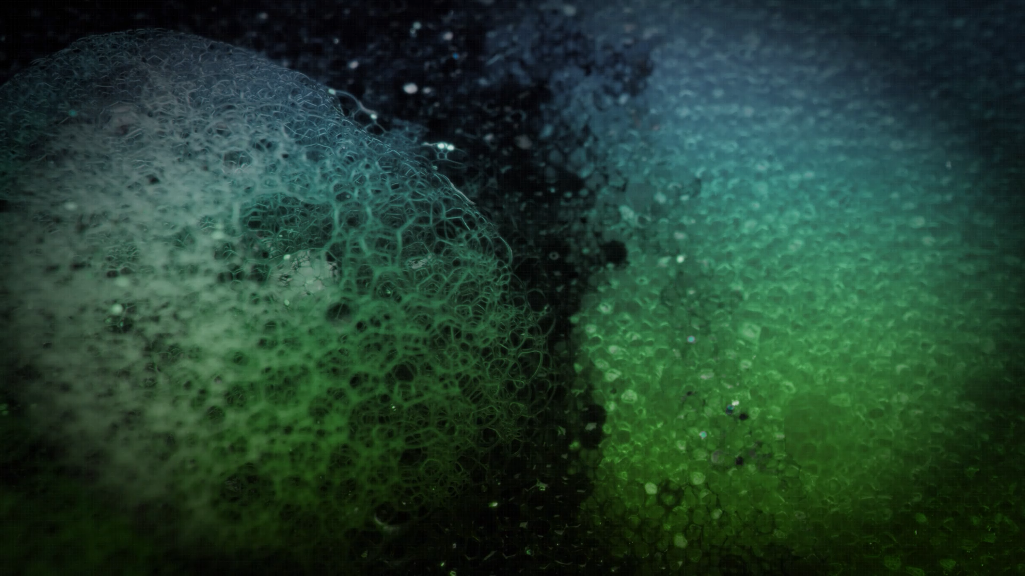 Isomorphic_Labs_Real_Biology_Photography