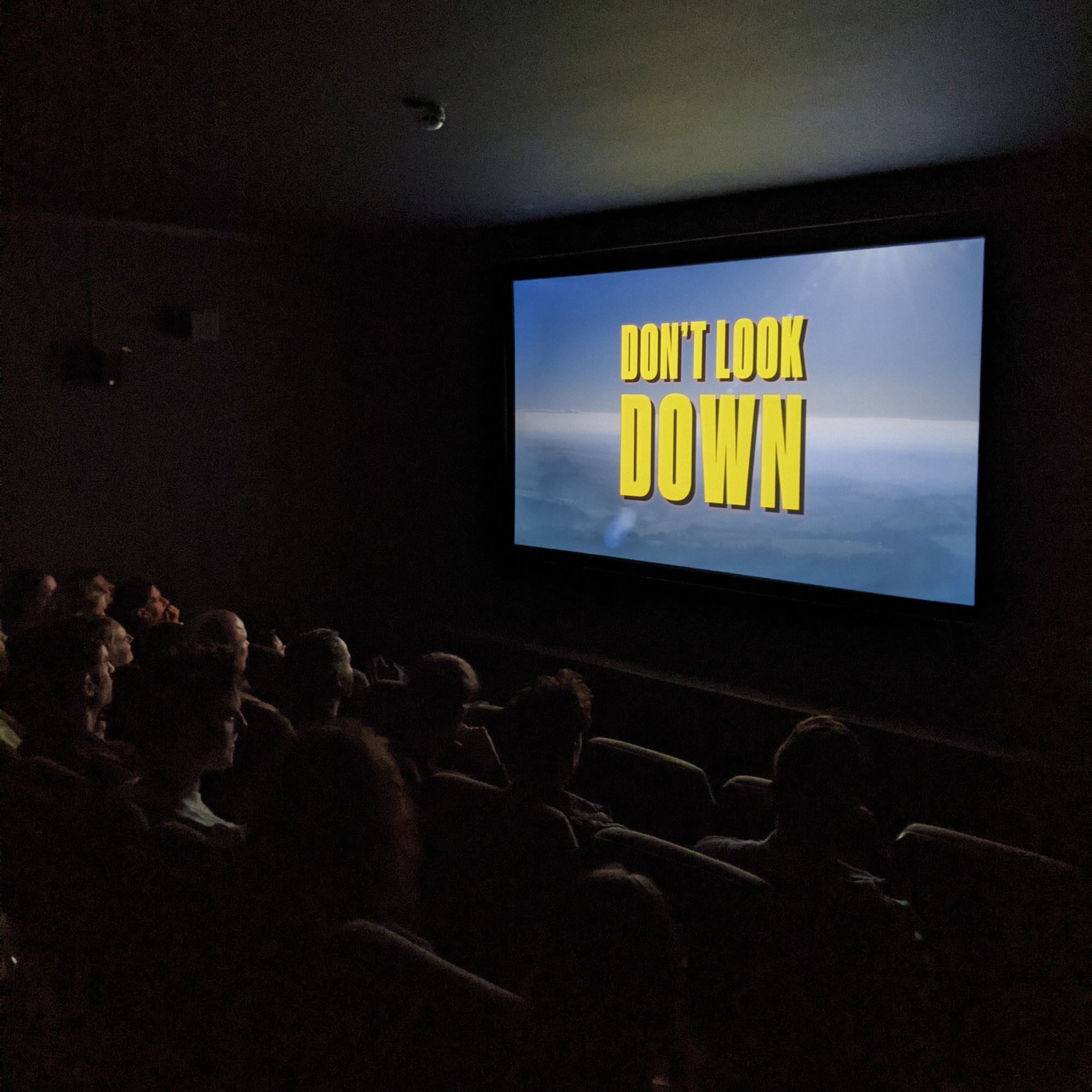 Don't Look Down, Cinema Screening