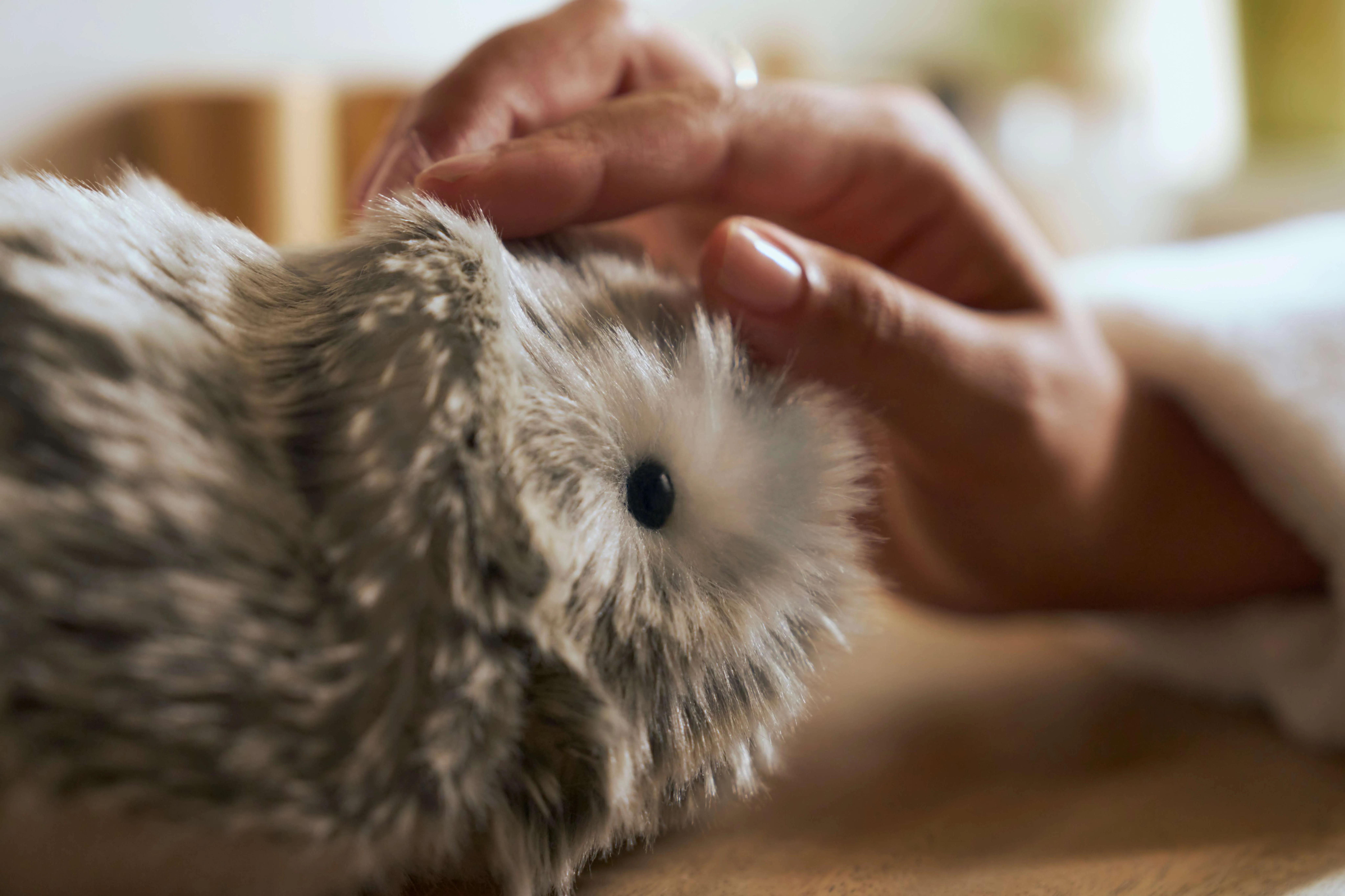 CASIO's Moflin, Product Launch Photography