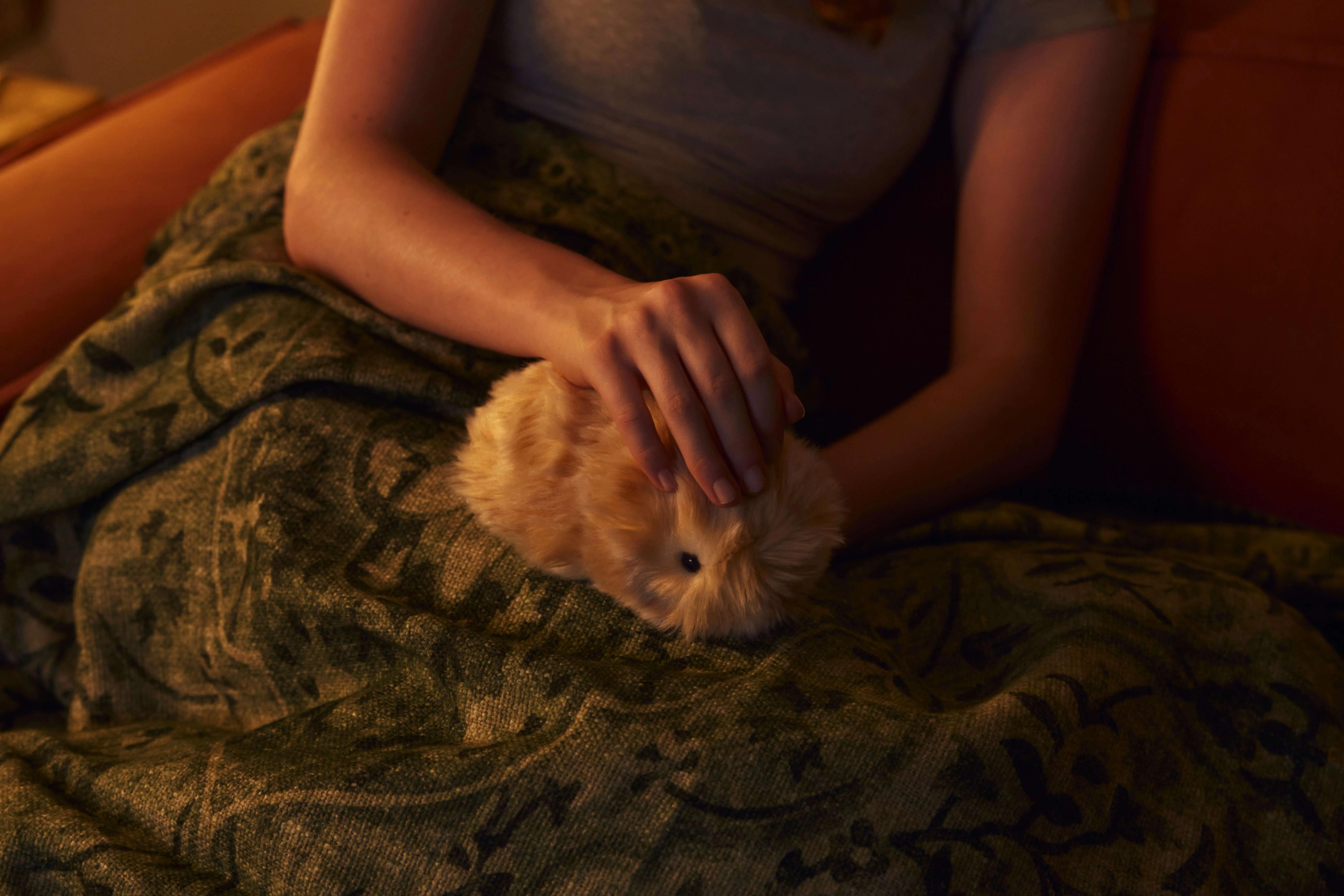 Moflin Product Photography, Woman on Sofa