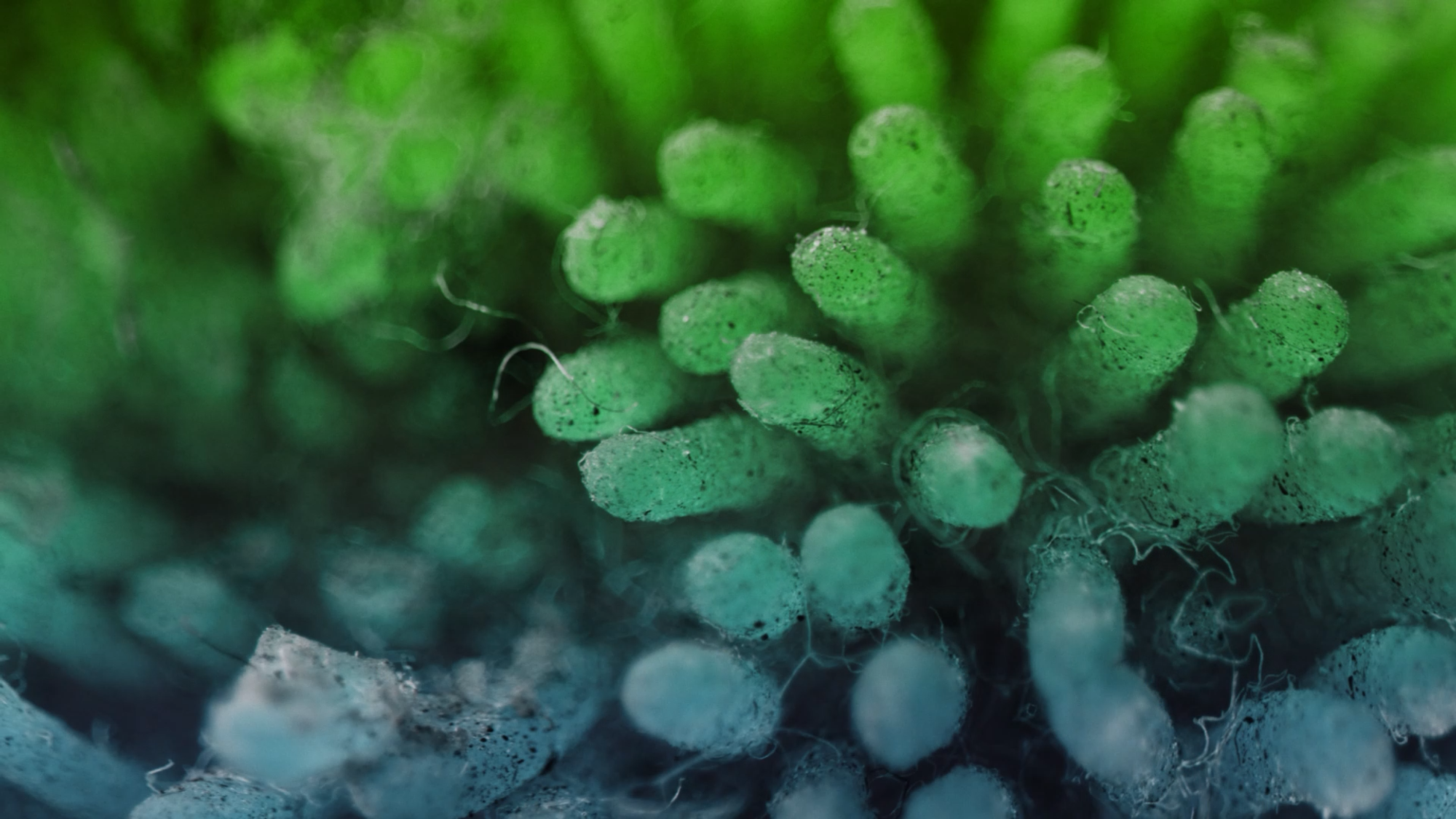 Isomorphic_Labs_Biological_Imagery