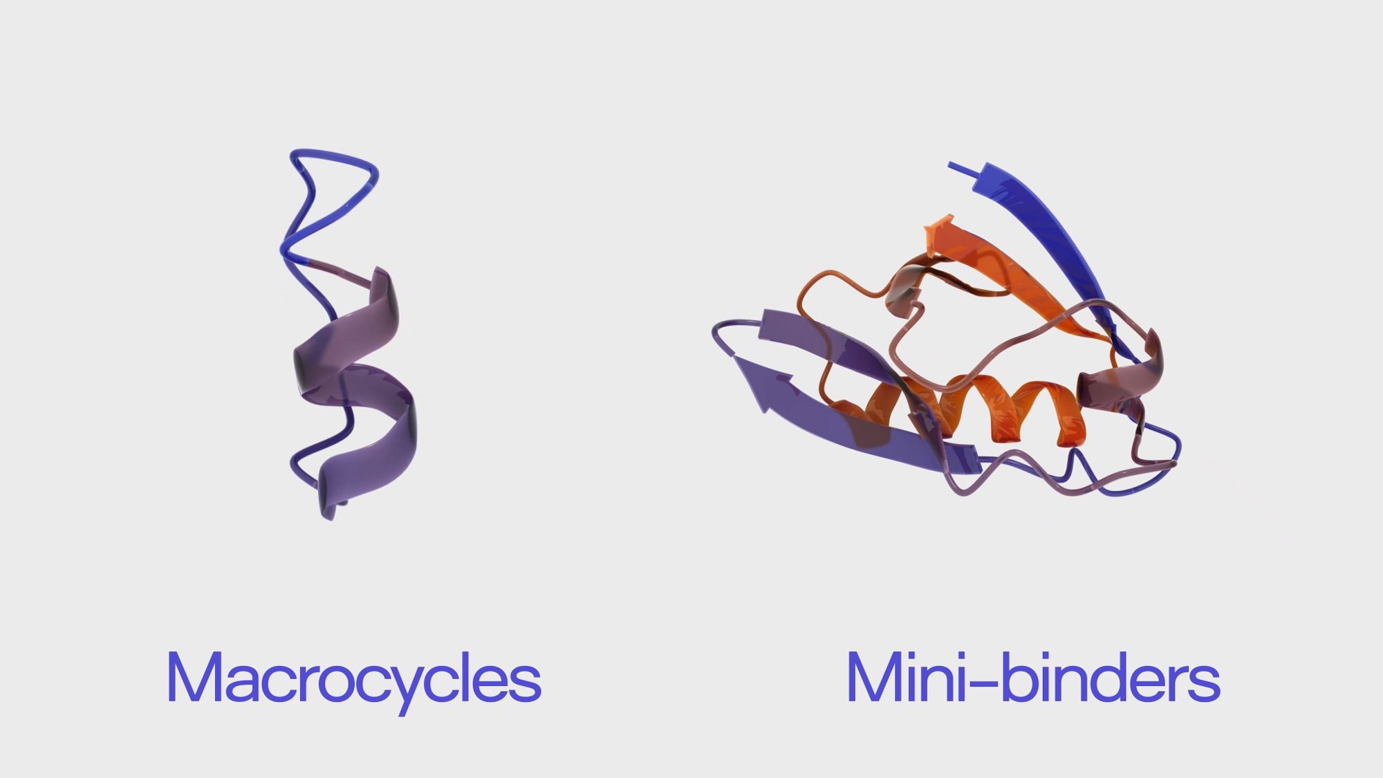 Protein_Video_Production