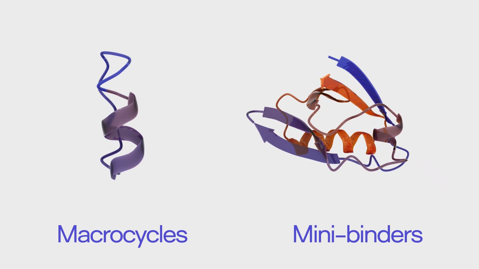 Protein_Video_Production Protein_Video_Production