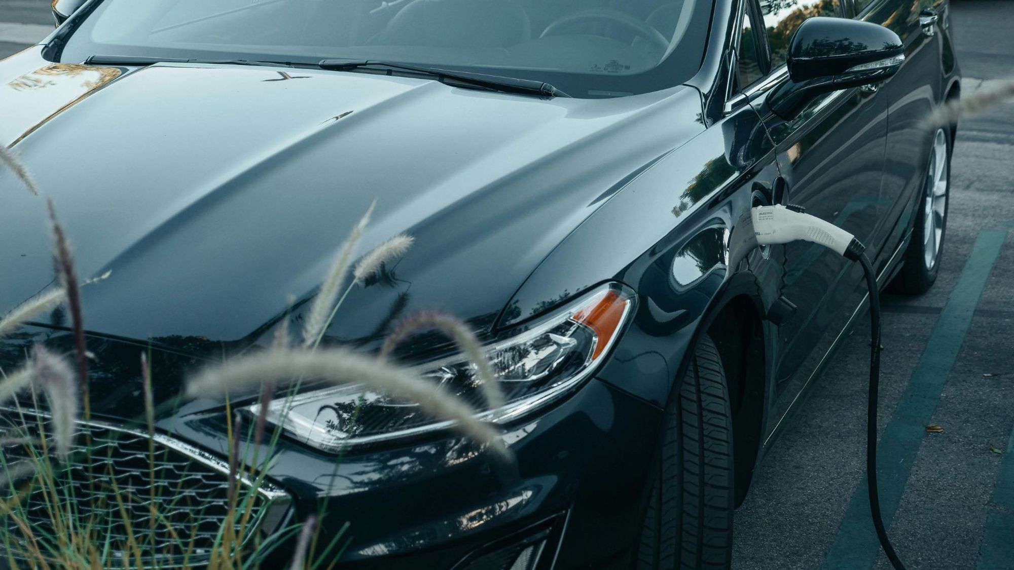 EV Branding Insights Paper