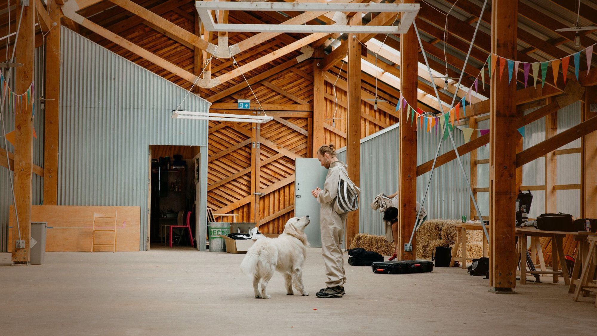 Ali Alzein & Dog - Gramafilm x Bees & Refugees