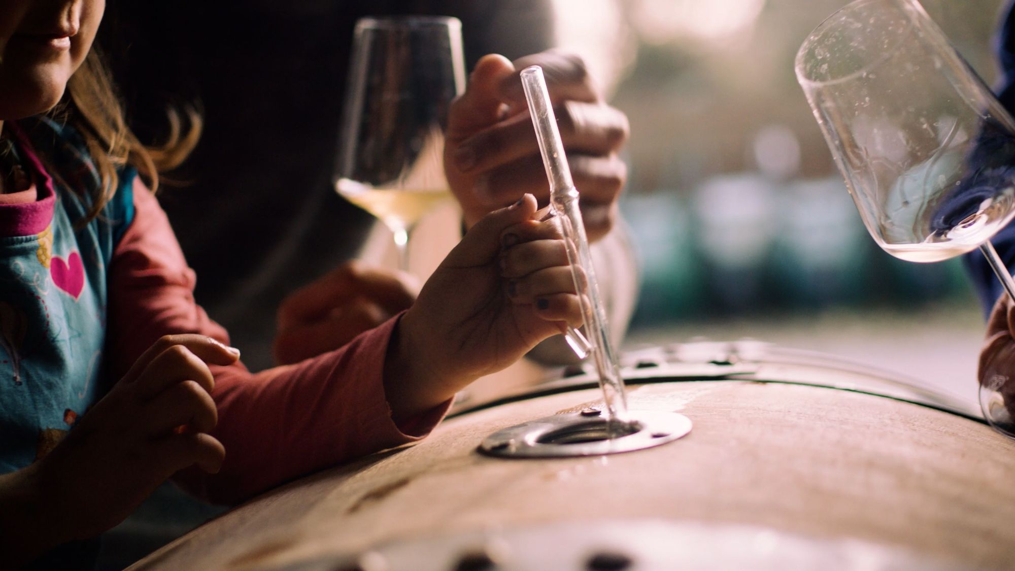 Wine Fermentation Film