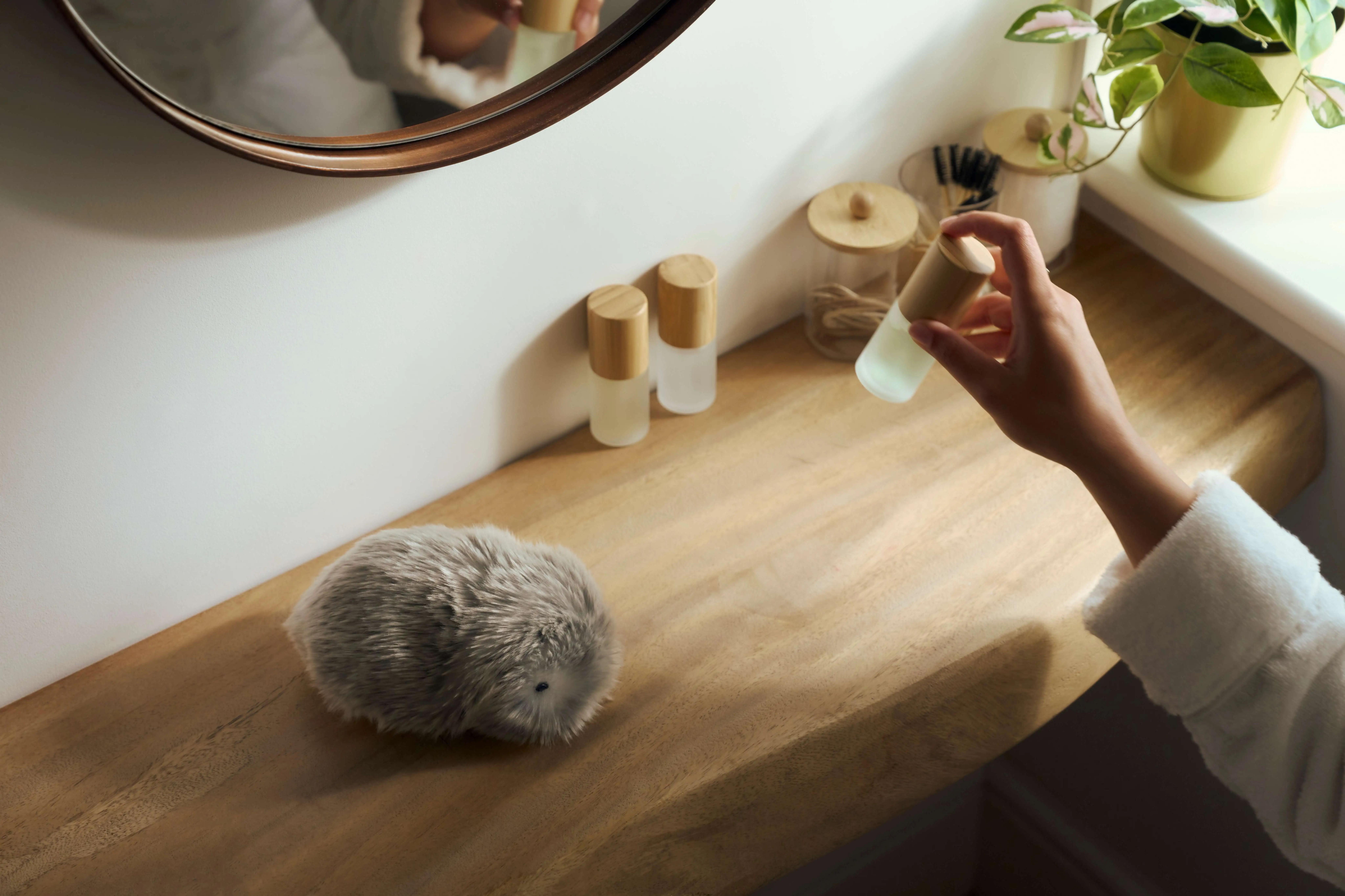 Moflin Product Photography Home Routine