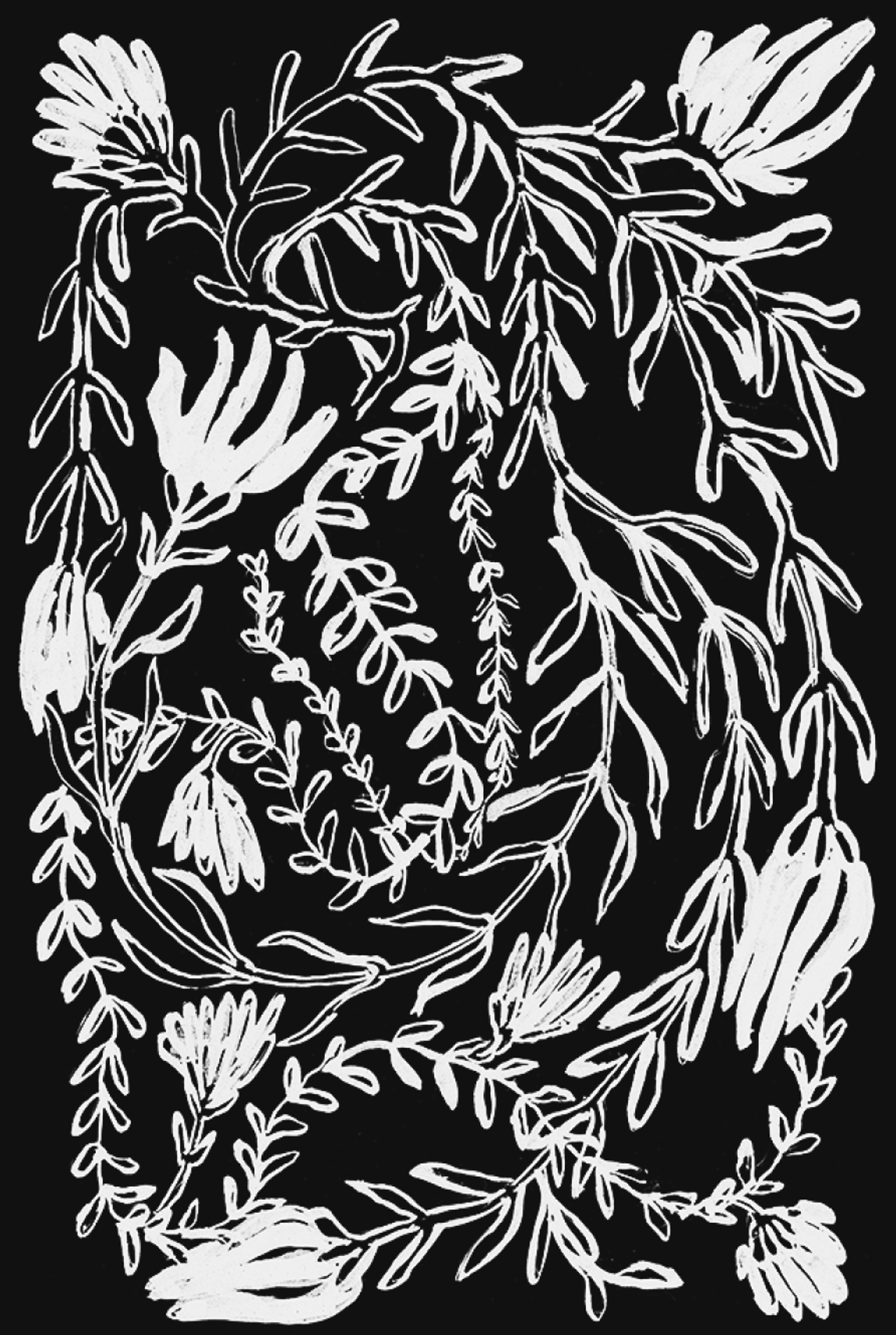 Black and white botanical illustration with white floral and leaf designs against a black background, showing flowing stems and stylized flowers.